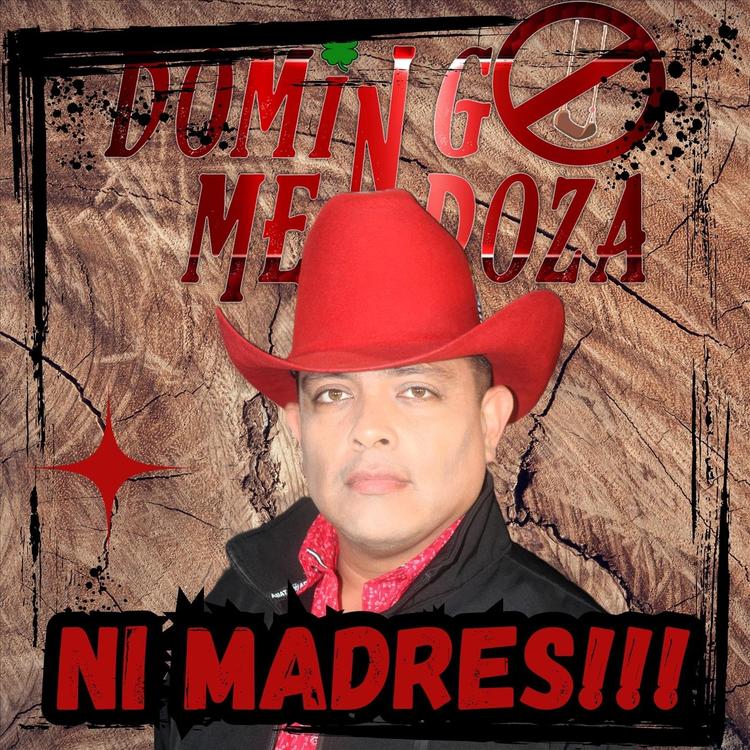 Domingo Mendoza's avatar image