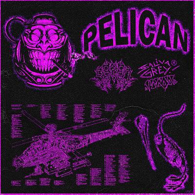 PELICAN's cover