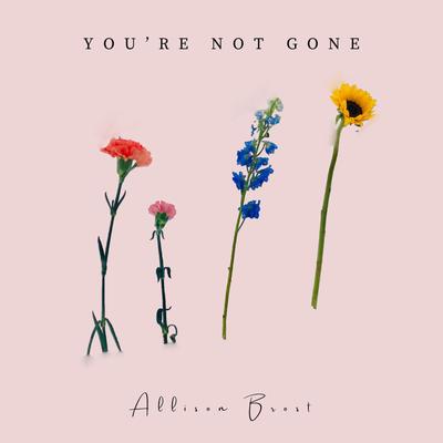 You're Not Gone's cover