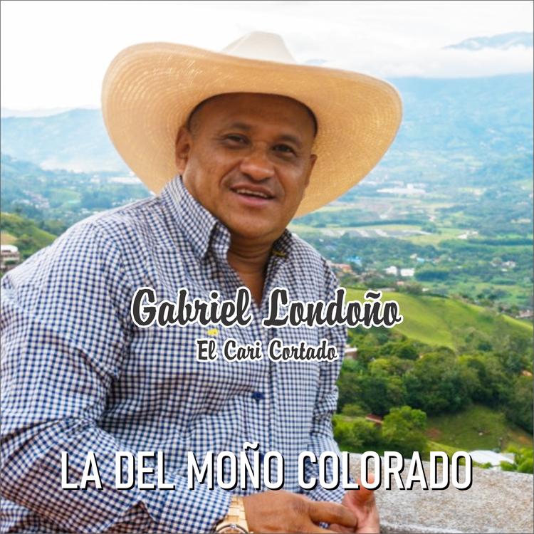 Gabriel Londoño's avatar image
