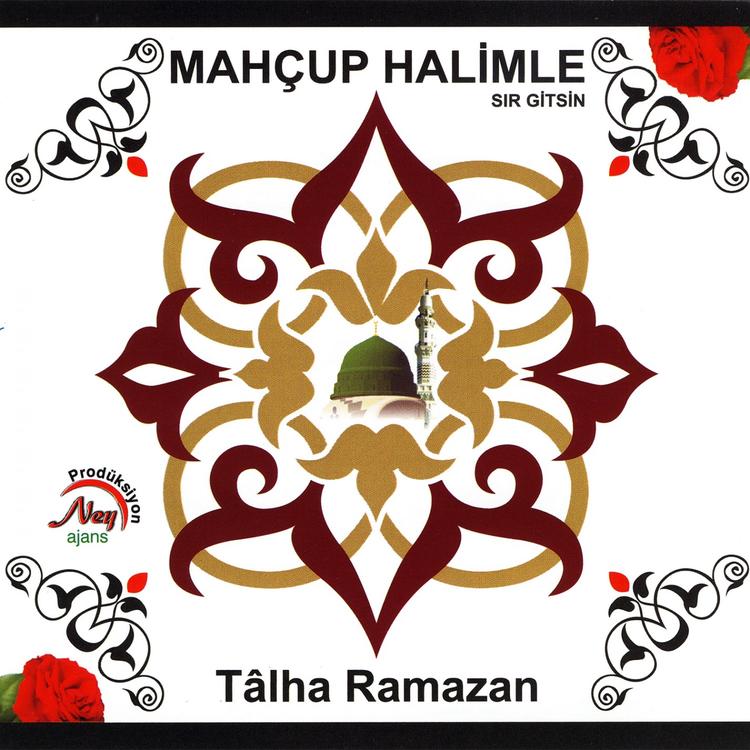 Talha Ramazan's avatar image