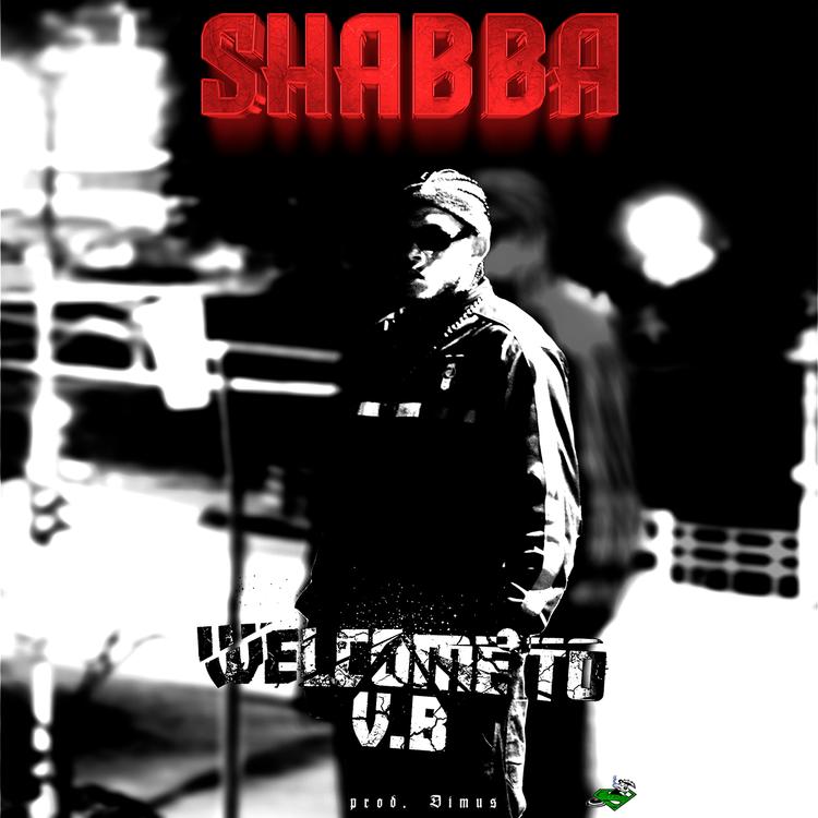Shabba v.b's avatar image