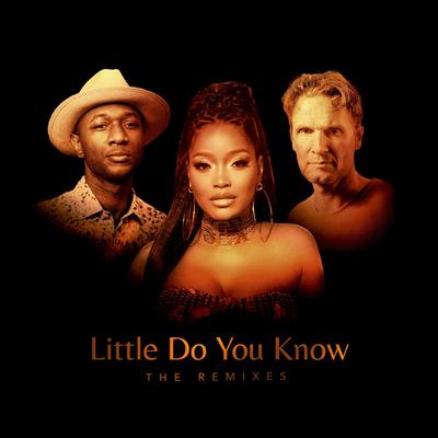 Little Do You Know (The Remixes)'s cover