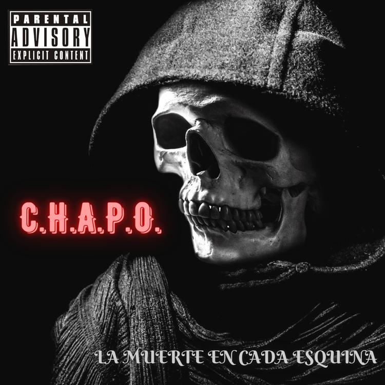 C.H.A.P.O.'s avatar image