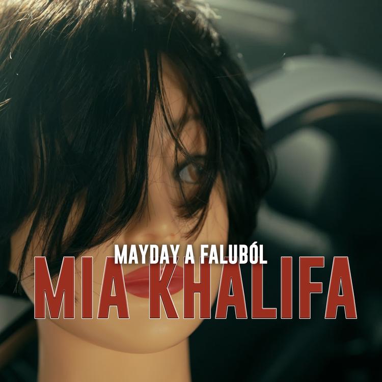 Mayday a faluból's avatar image