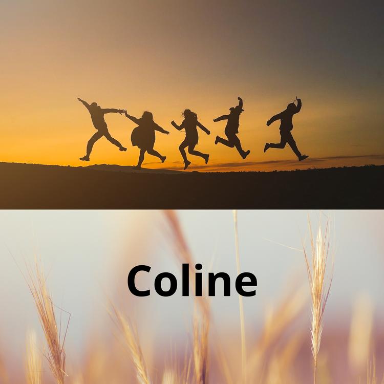 COLINE's avatar image