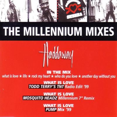 In the Mix (What Is Love / Life / Rock My Heart / Who Do You Love / Another Day Without You) By Haddaway's cover