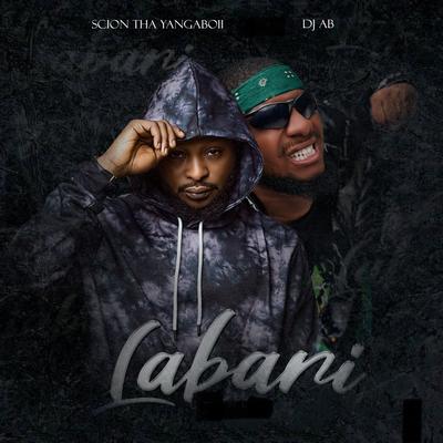 Labari's cover