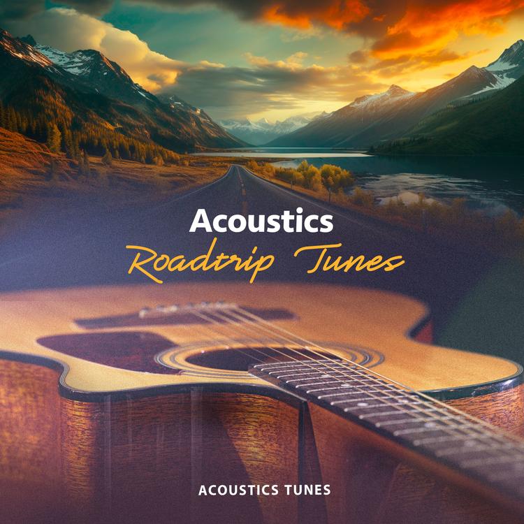 Acoustics Tunes's avatar image