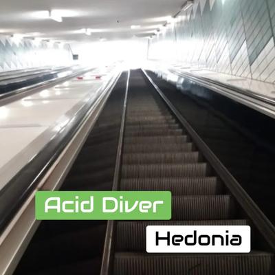 Hedonia's cover