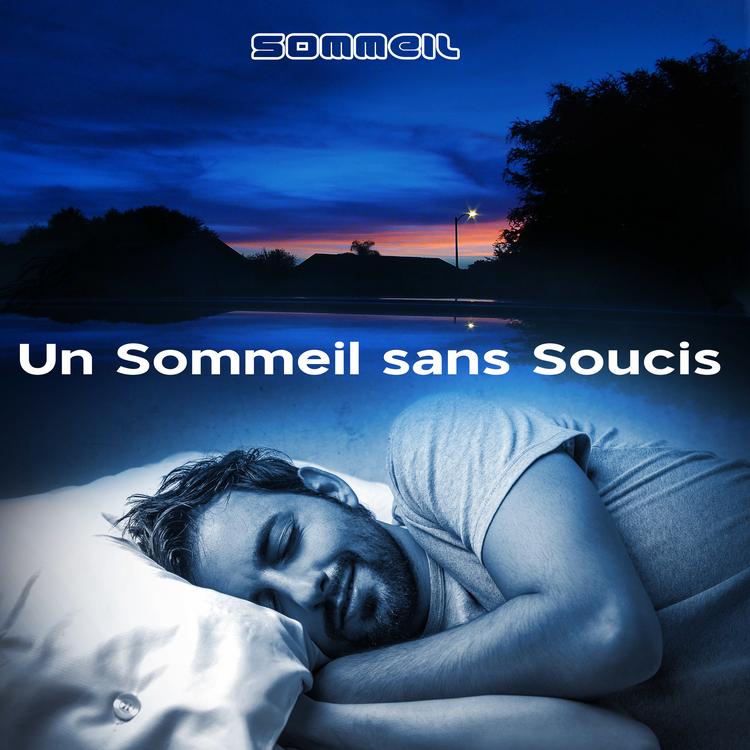 Sommeil's avatar image