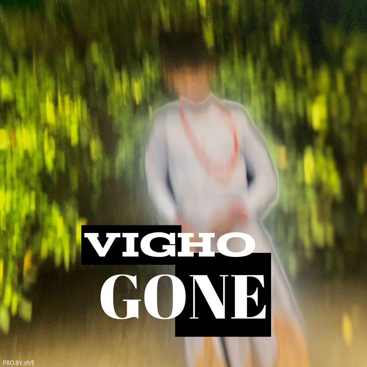 Vigho's avatar image