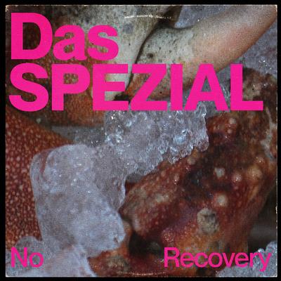 No Recovery's cover