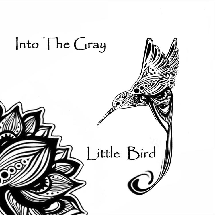 Into the Gray's avatar image