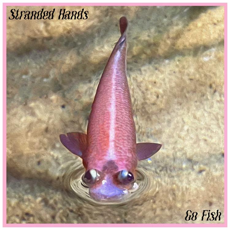 Stranded Hands's avatar image