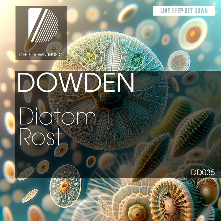 Dowden's avatar image