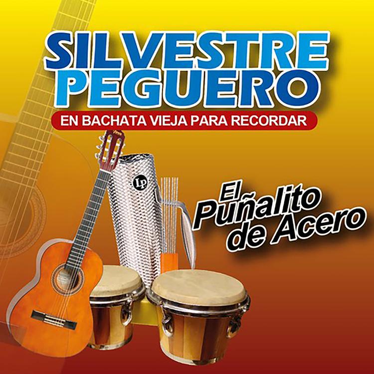 Silvestre Peguero's avatar image