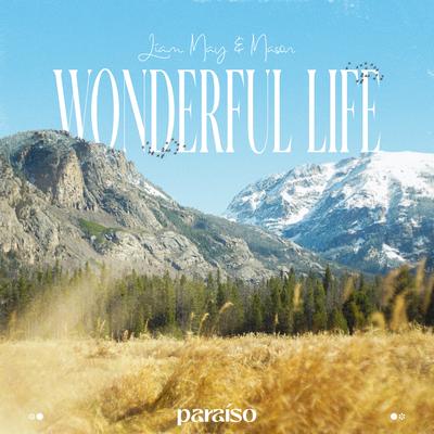 Wonderful Life By Liam May, Mason's cover