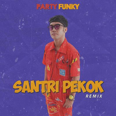 Santri Pekok (Remix)'s cover