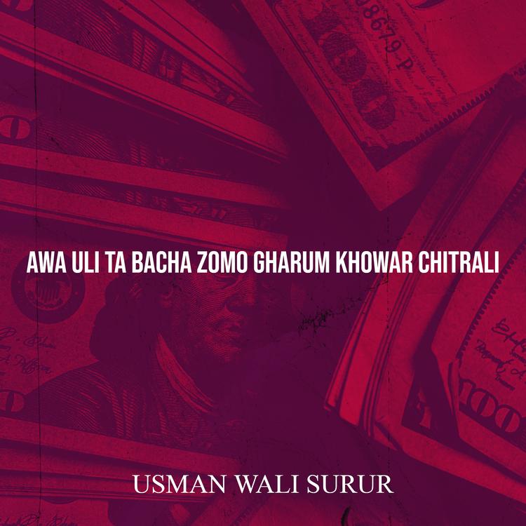 Usman Wali Surur's avatar image