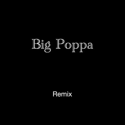 Big Poppa (Instrumental) By 21's cover