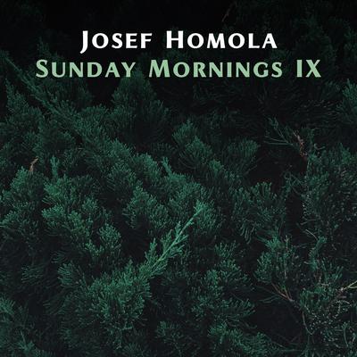 Sunday Mornings IX's cover