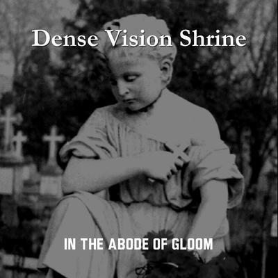 Dense Vision Shrine's cover