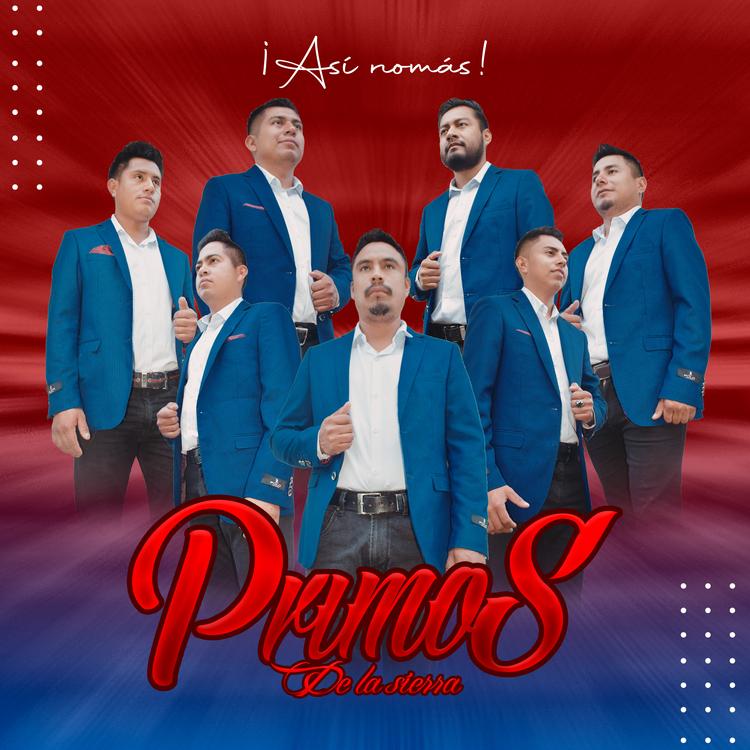 Primos de la Sierra's avatar image