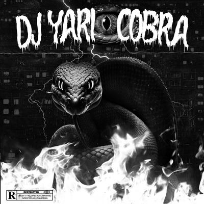 BLACK COBRA's cover