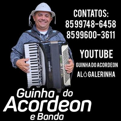 O Seu Sorriso Me Enfeitiçou By Guinha do Acordeon e Banda's cover