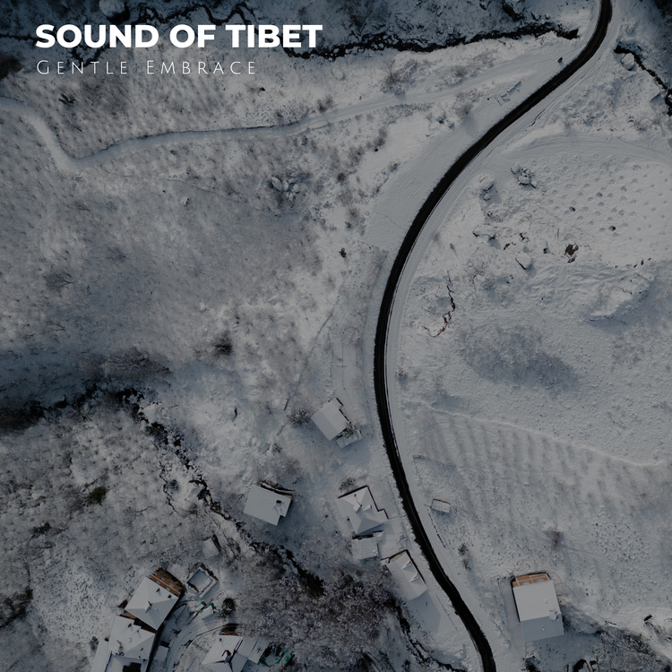 Sound of Tibet's avatar image