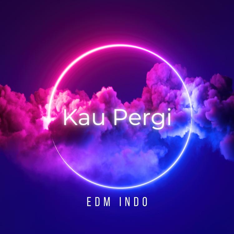 EDM INDO's avatar image
