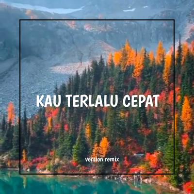 KAU TERLALU CEPAT ( Version Remix )'s cover