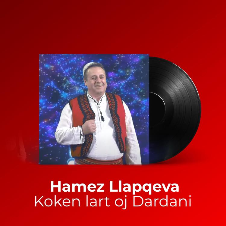 Hamez Llapqeva's avatar image