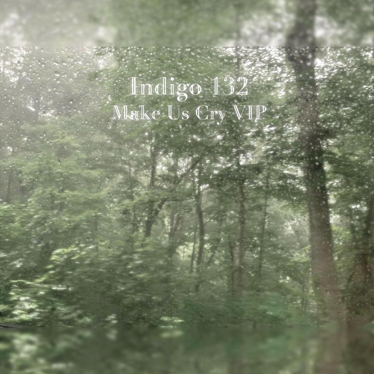 Indigo 132's avatar image