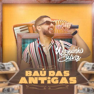 Não Sou De Ninguém By Waguinho Silva's cover