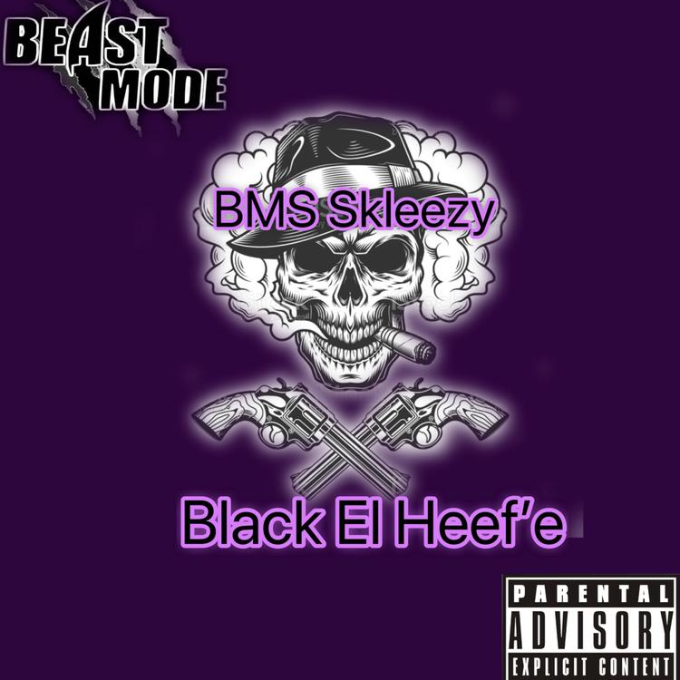 BMS Skleezy's avatar image