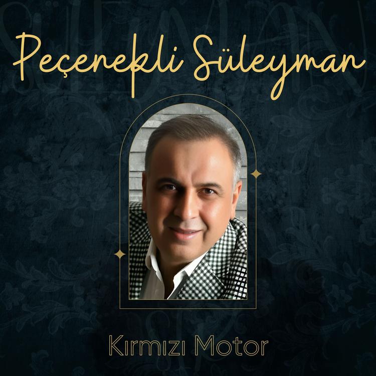 Peçenekli Süleyman's avatar image