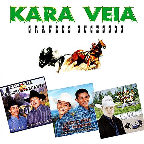 Toadas e Kara Veia's cover