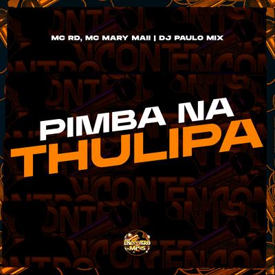 Pimba na Thulipa's cover