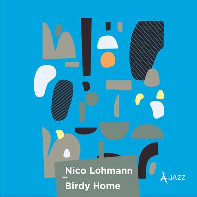 Birdy Home By Nico Lohmann, Andreas Henze, Tobias Backhaus, Birgitta Flick, Claus-Dieter Bandorf's cover