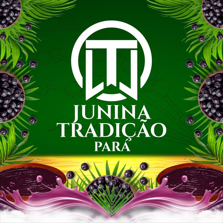 Junina Tradição Pará's avatar image