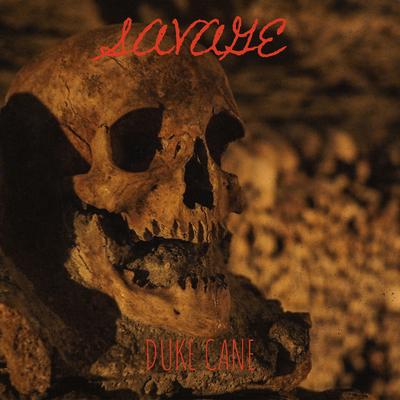 Savage (Instrumental)'s cover