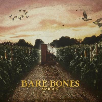 Soft Glow By Bare Bones's cover