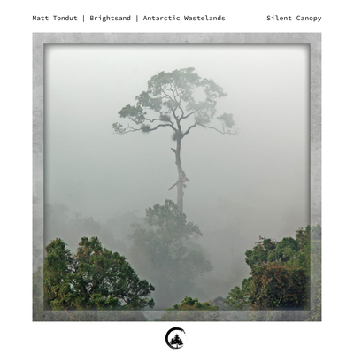 Silent Canopy By Matt Tondut, Brightsand, Antarctic Wastelands's cover