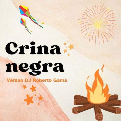 Crina Negra  (versão DJ Roberto Gama By DJ Roberto Gama's cover