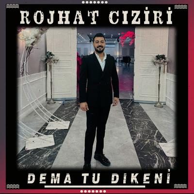 Rojhat Ciziri's cover