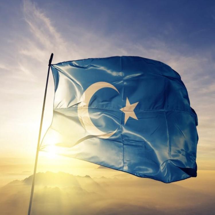 Sherqiy Turkistan's avatar image