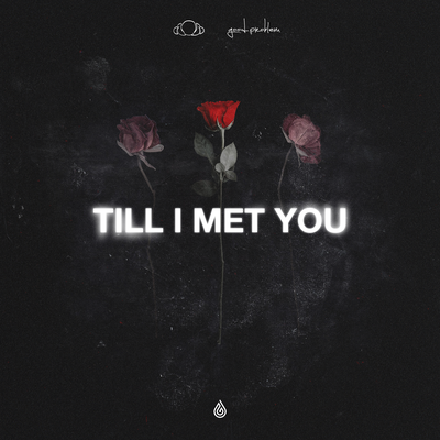 Till I Met You By Said The Sky, good problem's cover