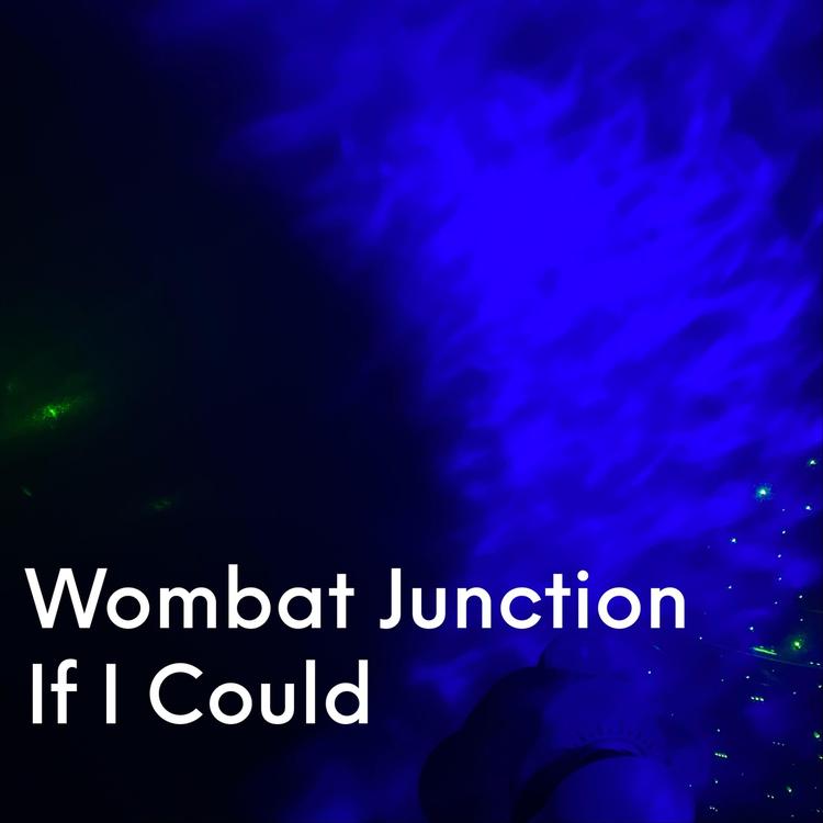 Wombat Junction's avatar image
